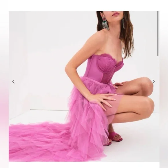 X REVOLVE Bustier Gown in Pink
For Love and Lemons - Picture 9 of 10